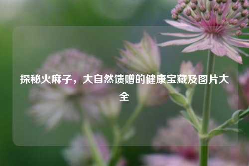 探秘火麻子，大自然馈赠的健康宝藏及图片大全
