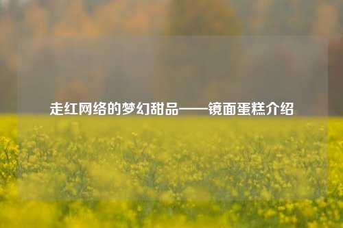 走红网络的梦幻甜品——镜面蛋糕介绍