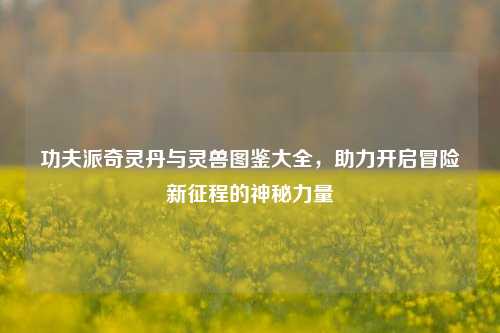 功夫派奇灵丹与灵兽图鉴大全，助力开启冒险新征程的神秘力量