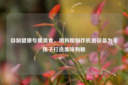 自制健康专属美食,用狗粮制作机器设备为毛孩子打造美味狗粮