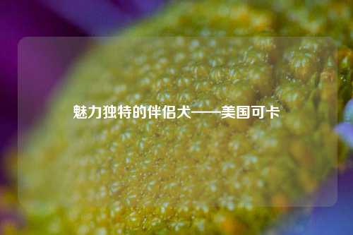 魅力独特的伴侣犬——美国可卡