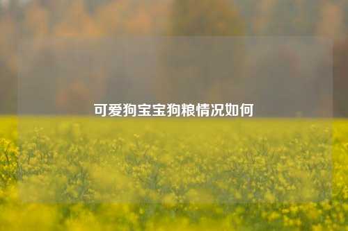 可爱狗宝宝狗粮情况如何