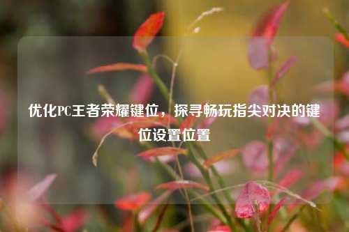 优化PC王者荣耀键位，探寻畅玩指尖对决的键位设置位置
