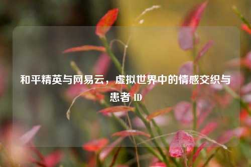和平精英与网易云,虚拟世界中的情感交织与患者 ID
