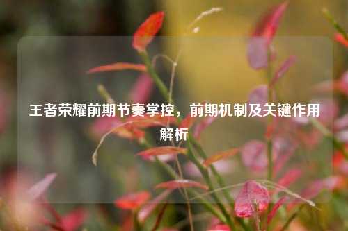王者荣耀前期节奏掌控,前期机制及关键作用解析