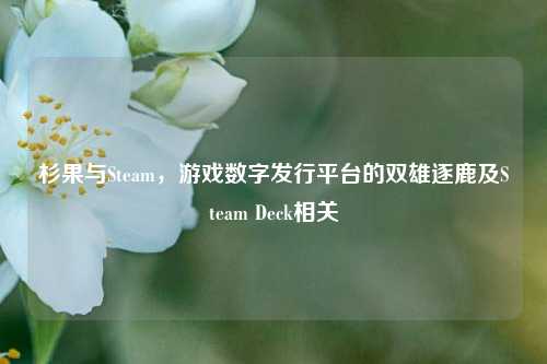 杉果与Steam,游戏数字发行平台的双雄逐鹿及Steam Deck相关