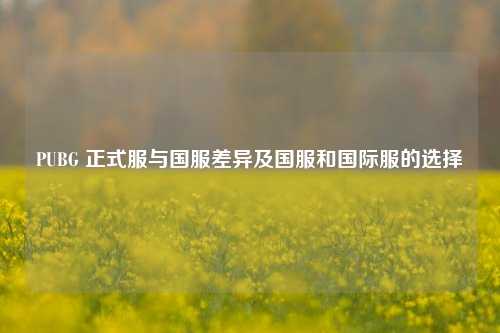 PUBG 正式服与国服差异及国服和国际服的选择