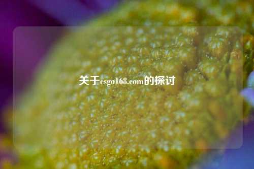 关于csgo168.com的探讨