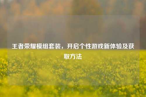 王者荣耀模组套装，开启个性游戏新体验及获取方法