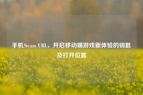 手机Steam URL,开启移动端游戏新体验的钥匙及打开位置