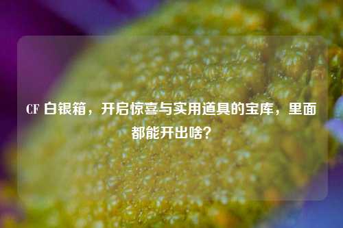 CF 白银箱,开启惊喜与实用道具的宝库,里面都能开出啥?