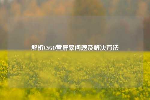 解析CSGO黄屏幕问题及解决方法