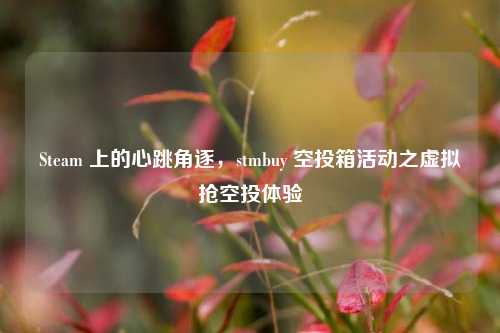 Steam 上的心跳角逐,stmbuy 空投箱活动之虚拟抢空投体验