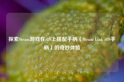 探索Steam游戏在iOS上搭配手柄(Steam Link iOS手柄)的奇妙体验