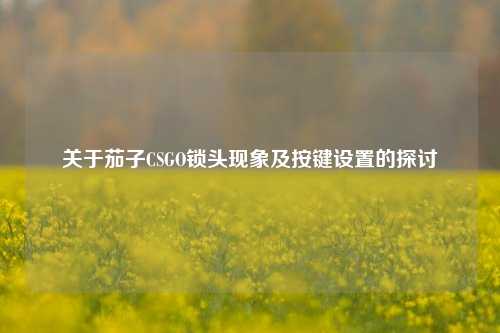 关于茄子CSGO锁头现象及按键设置的探讨
