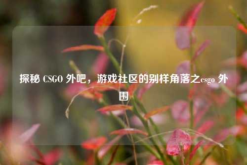探秘 CSGO 外吧,游戏社区的别样角落之csgo 外围