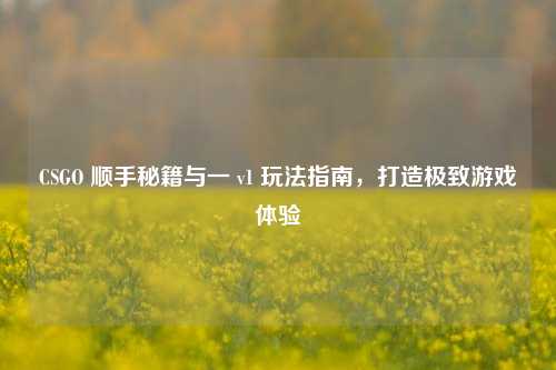 CSGO 顺手秘籍与一 v1 玩法指南,打造极致游戏体验