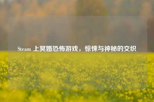 Steam 上冥婚恐怖游戏,惊悚与神秘的交织