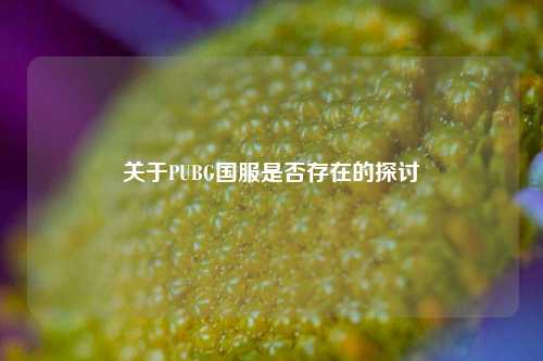 关于PUBG国服是否存在的探讨