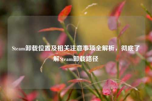 Steam卸载位置及相关注意事项全解析,彻底了解Steam卸载路径