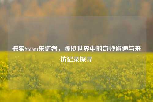 探索Steam来访者,虚拟世界中的奇妙邂逅与来访记录探寻