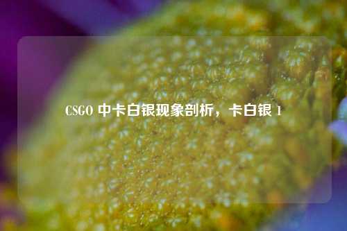 CSGO 中卡白银现象剖析,卡白银 1
