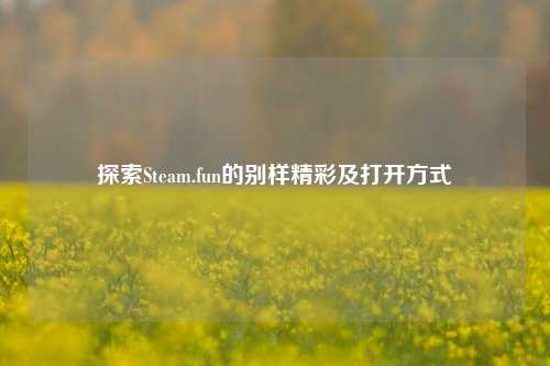 探索Steam.fun的别样精彩及打开方式