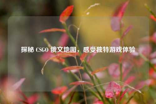探秘 CSGO 俄文地图，感受独特游戏体验