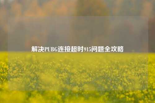 解决PUBG连接超时915问题全攻略