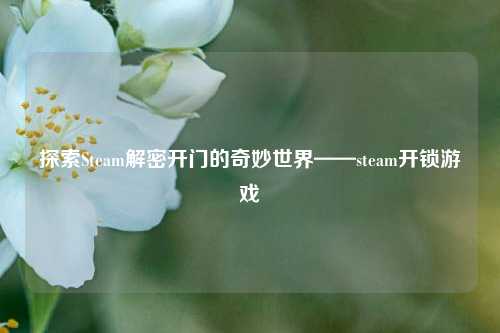 探索Steam解密开门的奇妙世界——steam开锁游戏