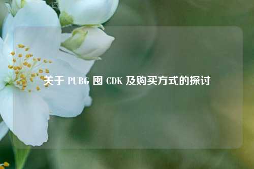关于 PUBG 囤 CDK 及购买方式的探讨