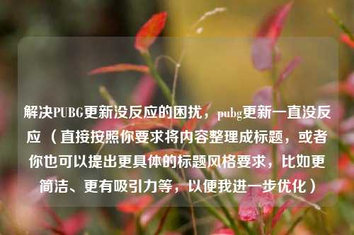 解决PUBG更新没反应的困扰，pubg更新一直没反应 （直接按照你要求将内容整理成标题，或者你也可以提出更具体的标题风格要求，比如更简洁、更有吸引力等，以便我进一步优化）
