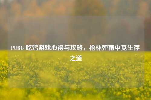 PUBG 吃鸡游戏心得与攻略,枪林弹雨中觅生存之道