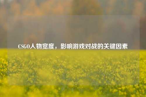 CSGO人物宽度,影响游戏对战的关键因素