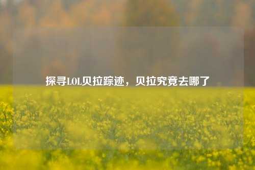 探寻LOL贝拉踪迹,贝拉究竟去哪了