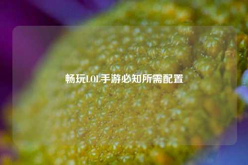 畅玩LOL手游必知所需配置