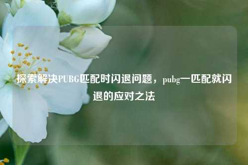 探索解决PUBG匹配时闪退问题，pubg一匹配就闪退的应对之法