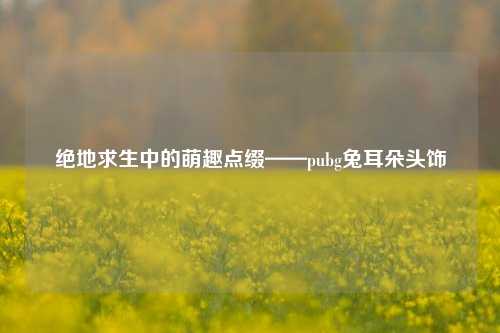 绝地求生中的萌趣点缀——pubg兔耳朵头饰