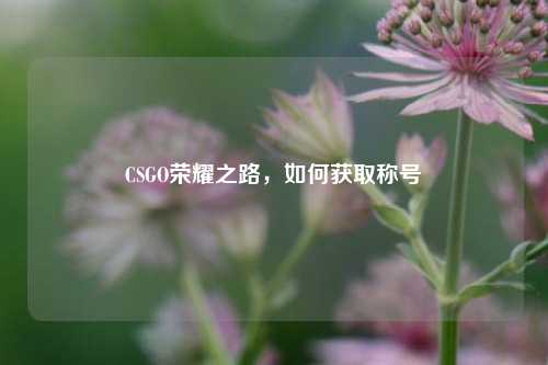 CSGO荣耀之路，如何获取称号