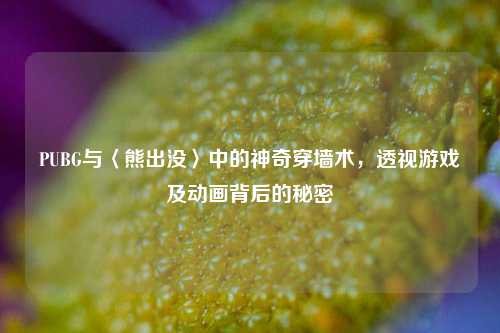 PUBG与〈熊出没〉中的神奇穿墙术,透视游戏及动画背后的秘密
