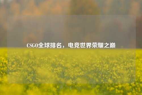CSGO全球排名，电竞世界荣耀之巅