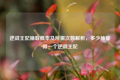 逆战王妃抽取概率及所需次数解析,多少抽能得一个逆战王妃