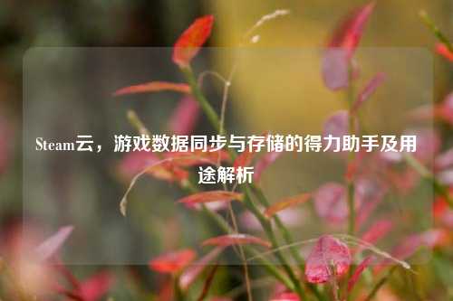 Steam云,游戏数据同步与存储的得力助手及用途解析