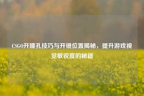 CSGO开瞳孔技巧与开镜位置揭秘，提升游戏视觉敏锐度的秘籍