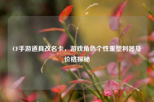 CF手游道具改名卡，游戏角色个性重塑利器及价格探秘