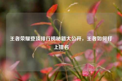 王者荣耀登顶排行榜秘籍大公开,王者如何打上排名