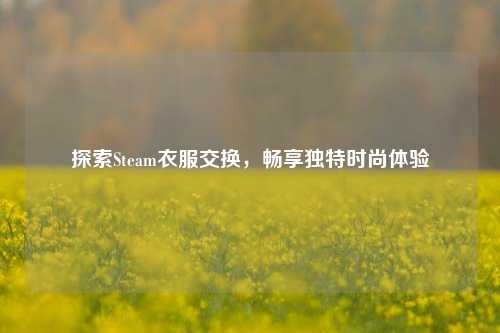 探索Steam衣服交换,畅享独特时尚体验