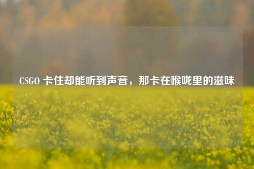 CSGO 卡住却能听到声音,那卡在喉咙里的滋味
