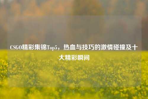 CSGO精彩集锦Top5，热血与技巧的激情碰撞及十大精彩瞬间