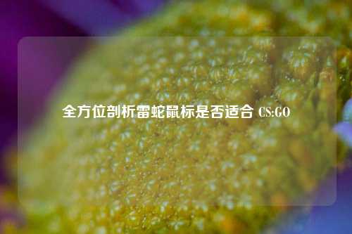 全方位剖析雷蛇鼠标是否适合 CS:GO